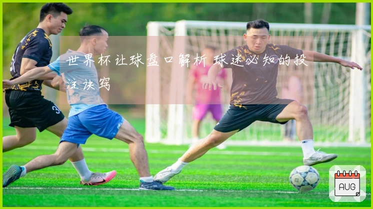 世界杯让球盘口解析 球迷必知的投注诀窍