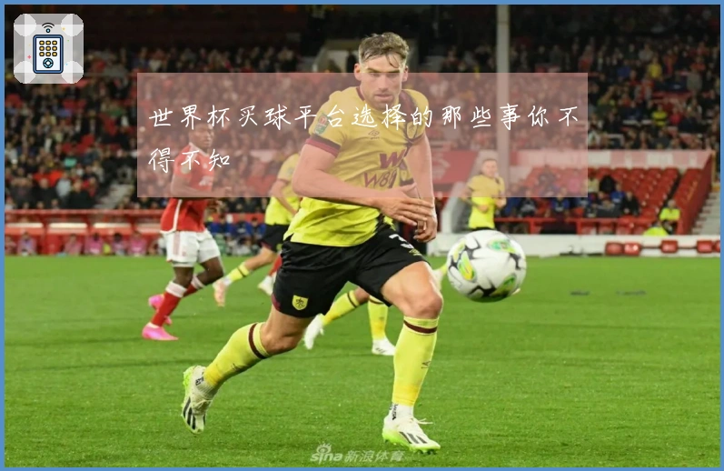 世界杯买球平台选择的那些事你不得不知