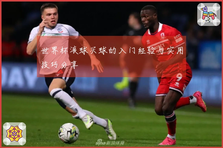 世界杯滚球买球的入门经验与实用技巧分享