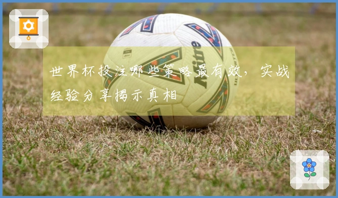 世界杯投注哪些策略最有效，实战经验分享揭示真相
