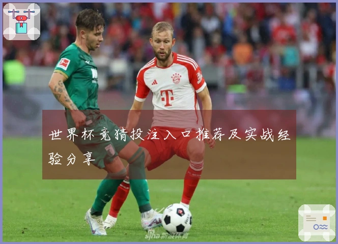 世界杯竞猜投注入口推荐及实战经验分享