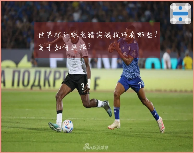 世界杯让球竞猜实战技巧有哪些？高手如何选择？