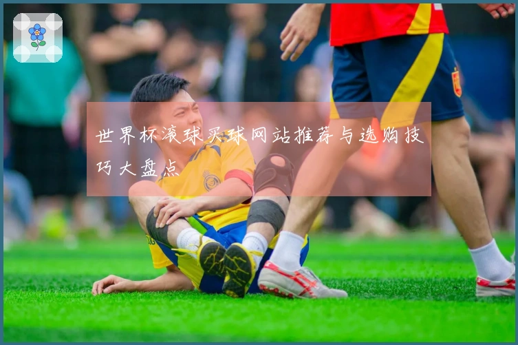 世界杯滚球买球网站推荐与选购技巧大盘点