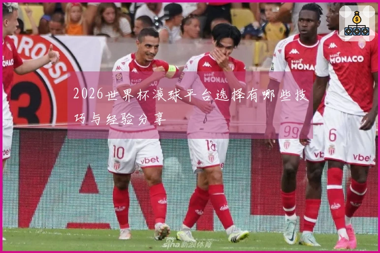 2026世界杯滚球平台选择有哪些技巧与经验分享
