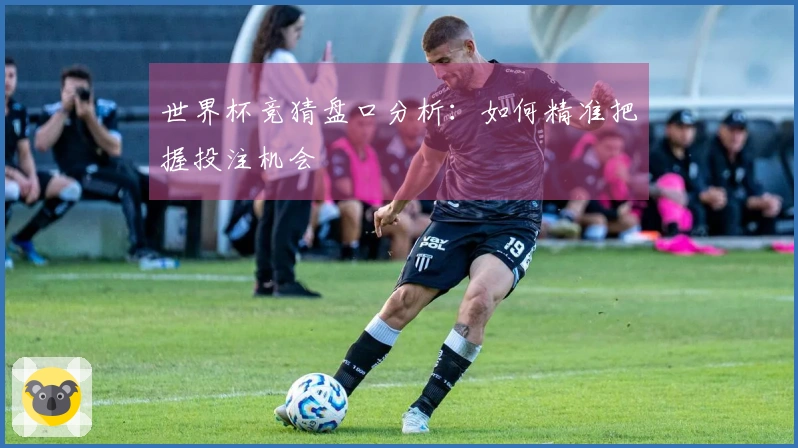 世界杯竞猜盘口分析：如何精准把握投注机会