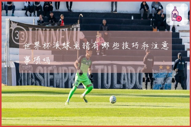 世界杯滚球竞猜有哪些技巧和注意事项吗