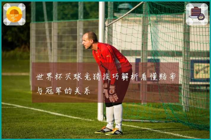 世界杯买球竞猜技巧解析看懂赔率与冠军的关系