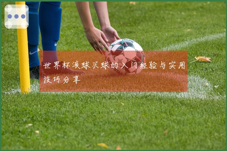世界杯滚球买球的入门经验与实用技巧分享