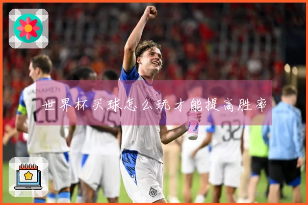 世界杯买球怎么玩才能提高胜率